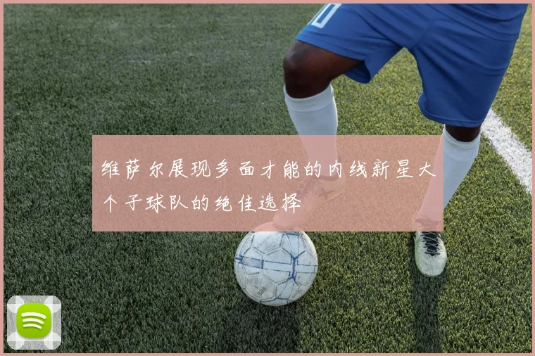 维萨尔展现多面才能的内线新星大个子球队的绝佳选择
