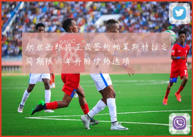 切尔西即将正式签约帕莱斯特拉合同期限六年并附续约选项