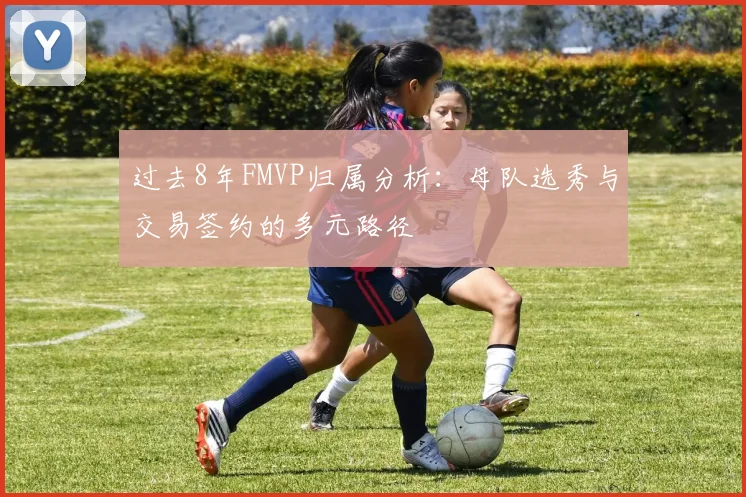 过去8年FMVP归属分析：母队选秀与交易签约的多元路径